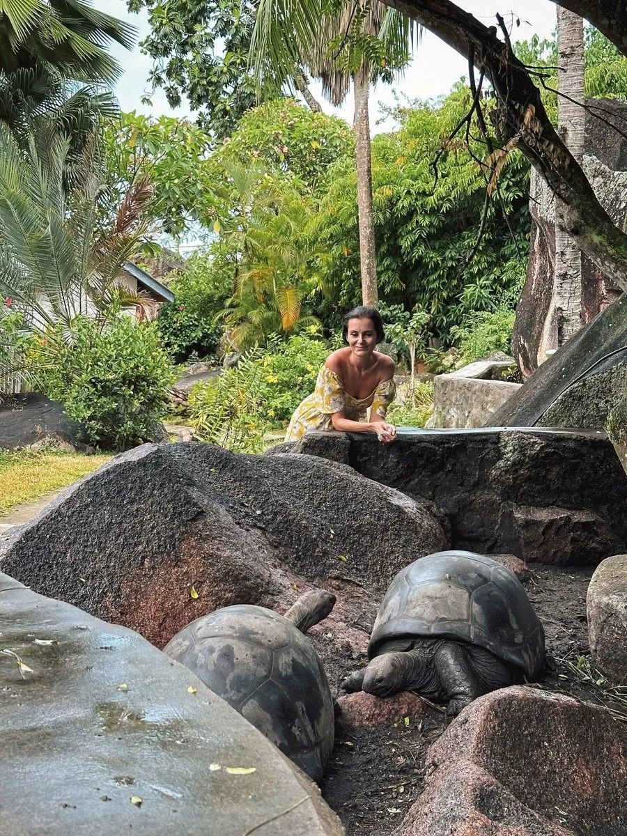 Velikanske želve na posestvu hotela